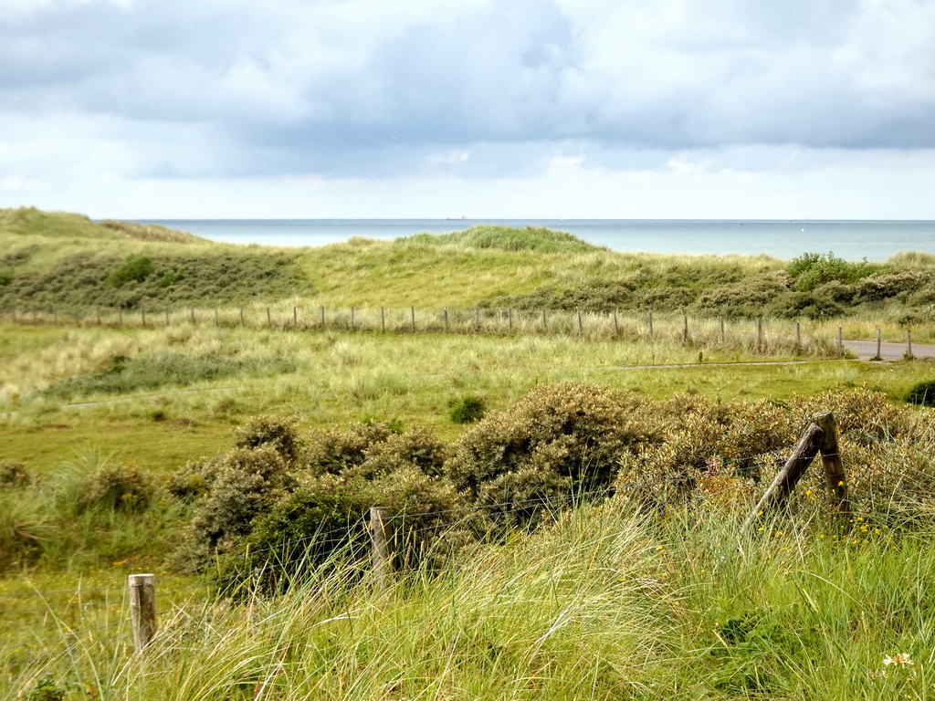 The dunes at Huisduinen