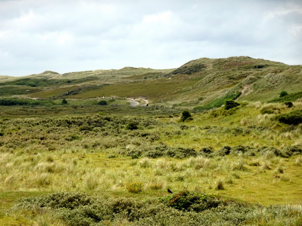 The dunes at Huisduinen