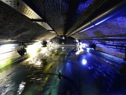 The underwater tunnel at the Aquarium at Fort Kijkduin, viewed from the top