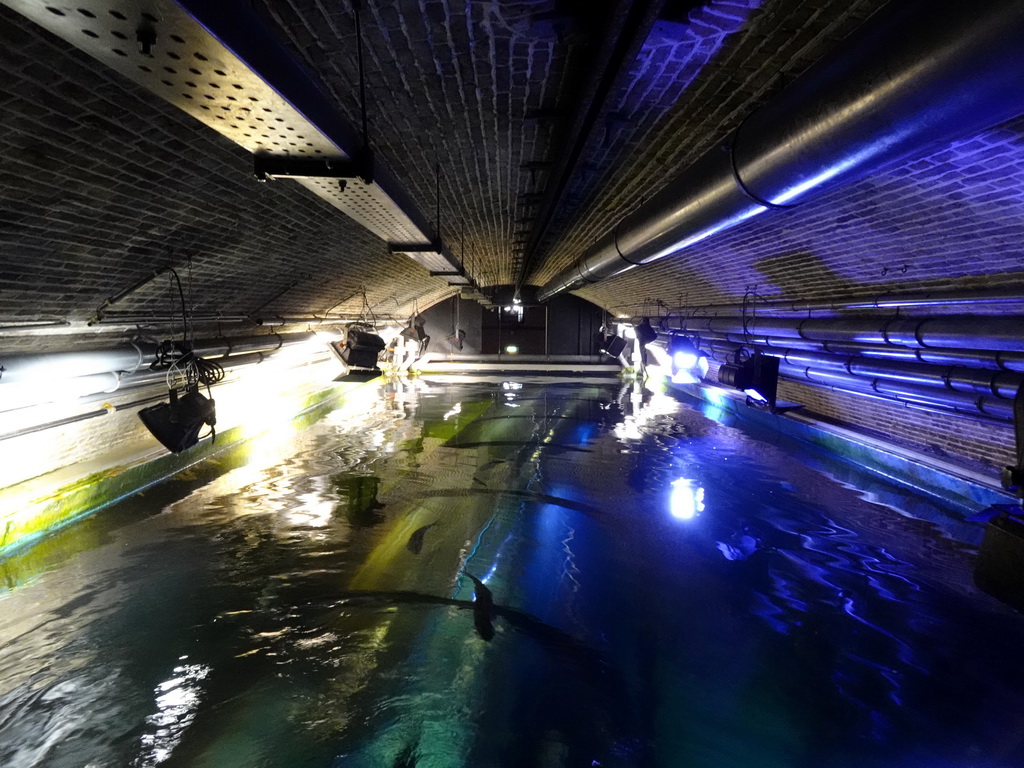 The underwater tunnel at the Aquarium at Fort Kijkduin, viewed from the top