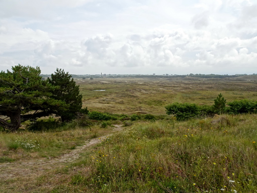 The dunes at the southeast side of Fort Kijkduin