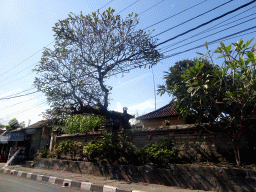 Houses at the Wage Rudolf Supratman street, viewed from the taxi from Nusa Dua to Gianyar