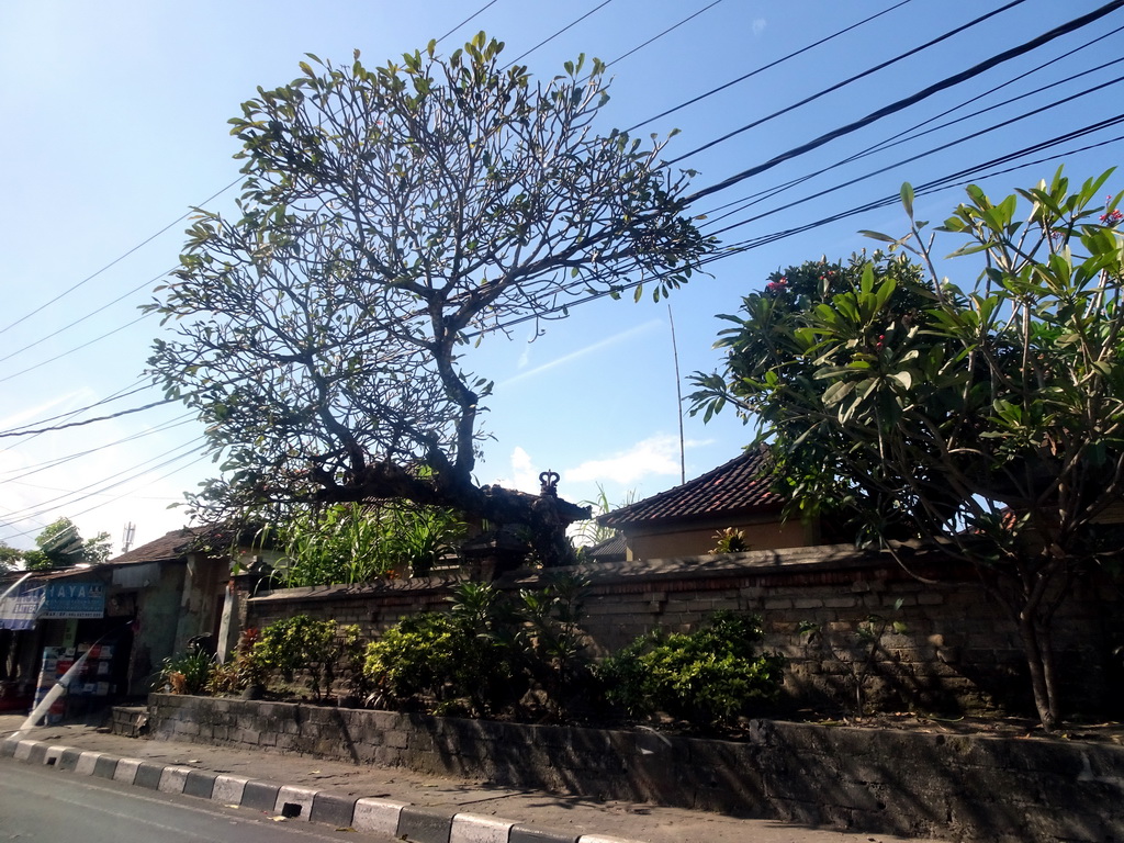 Houses at the Wage Rudolf Supratman street, viewed from the taxi from Nusa Dua to Gianyar