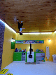 Max in a laundry room at the Upside Down World Bali