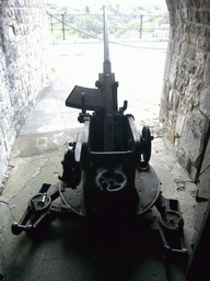 Artillery at the Citadel of Dinant