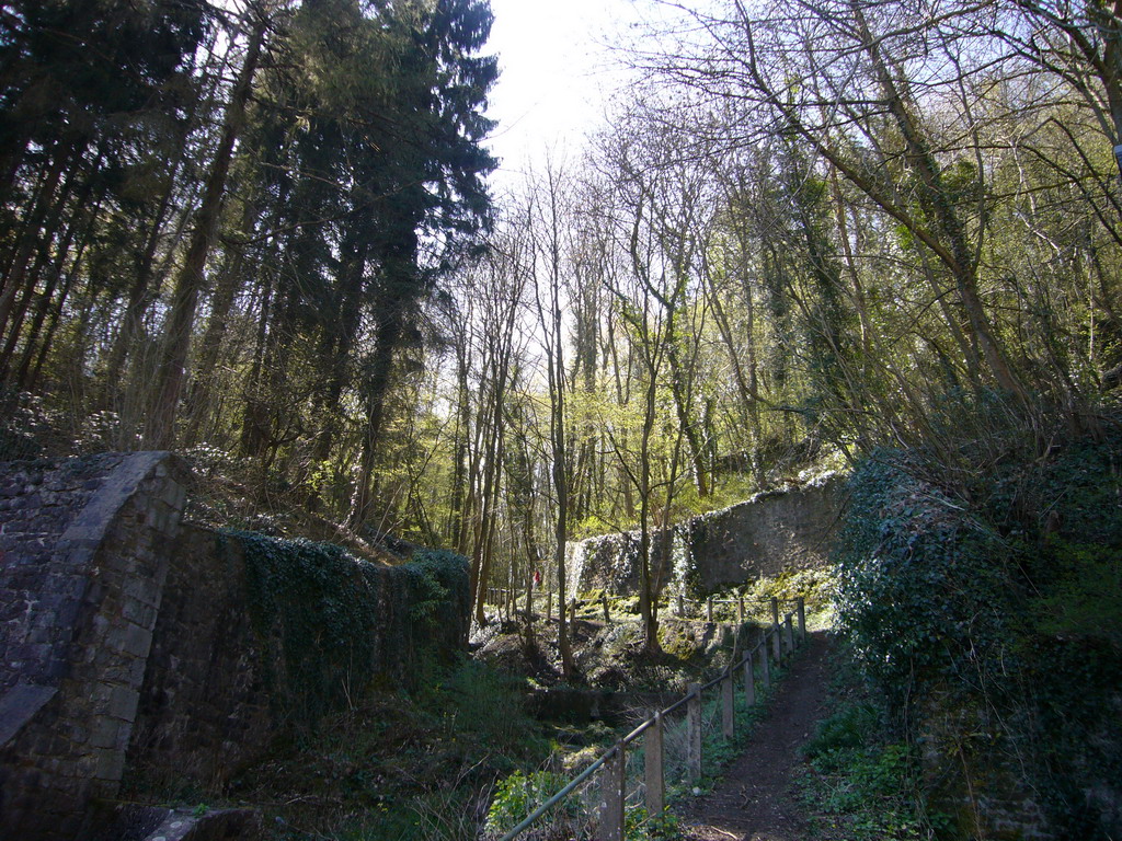 Path through a forest at the southwest side of the city