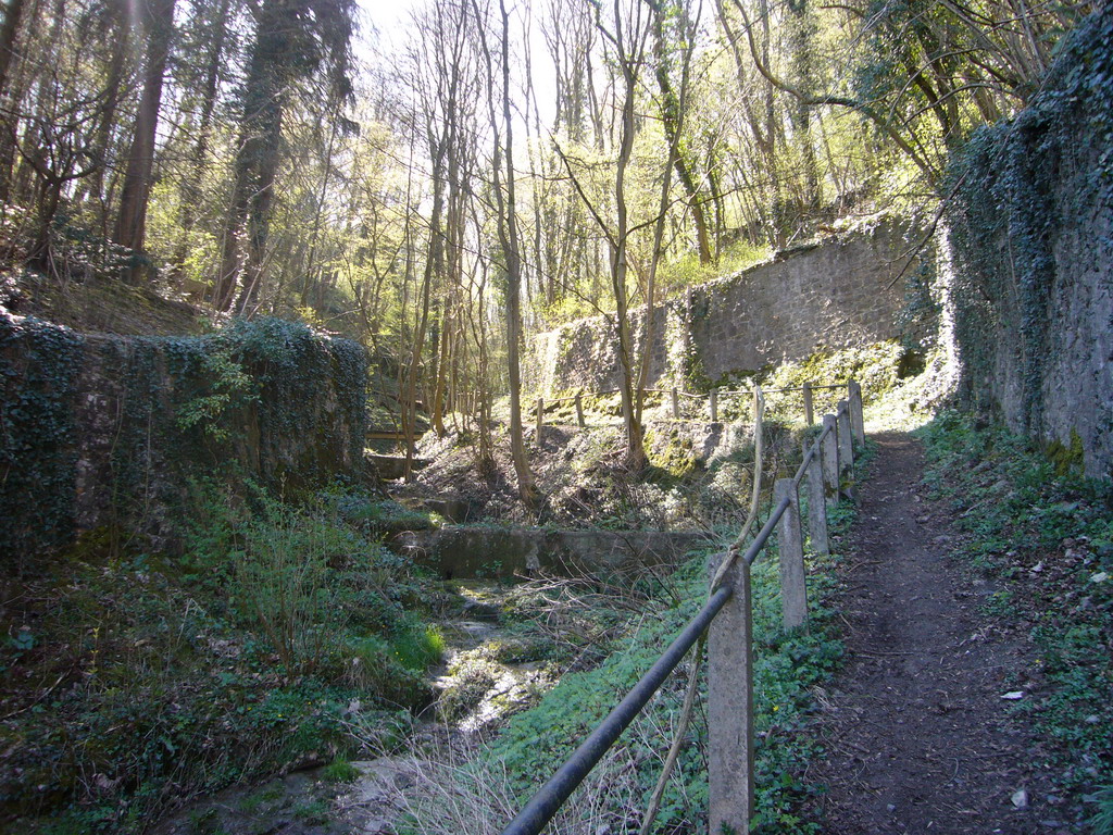 Path through a forest at the southwest side of the city