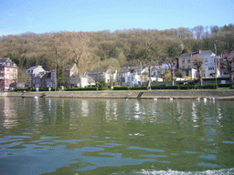Houses on the south side of the city and Swans in the Meuse river, viewed from the tour boat