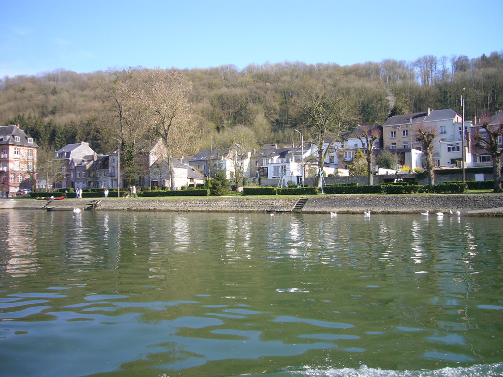 Houses on the south side of the city and Swans in the Meuse river, viewed from the tour boat