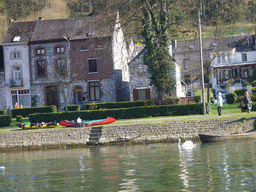 Houses on the south side of the city and Swans in the Meuse river, viewed from the tour boat