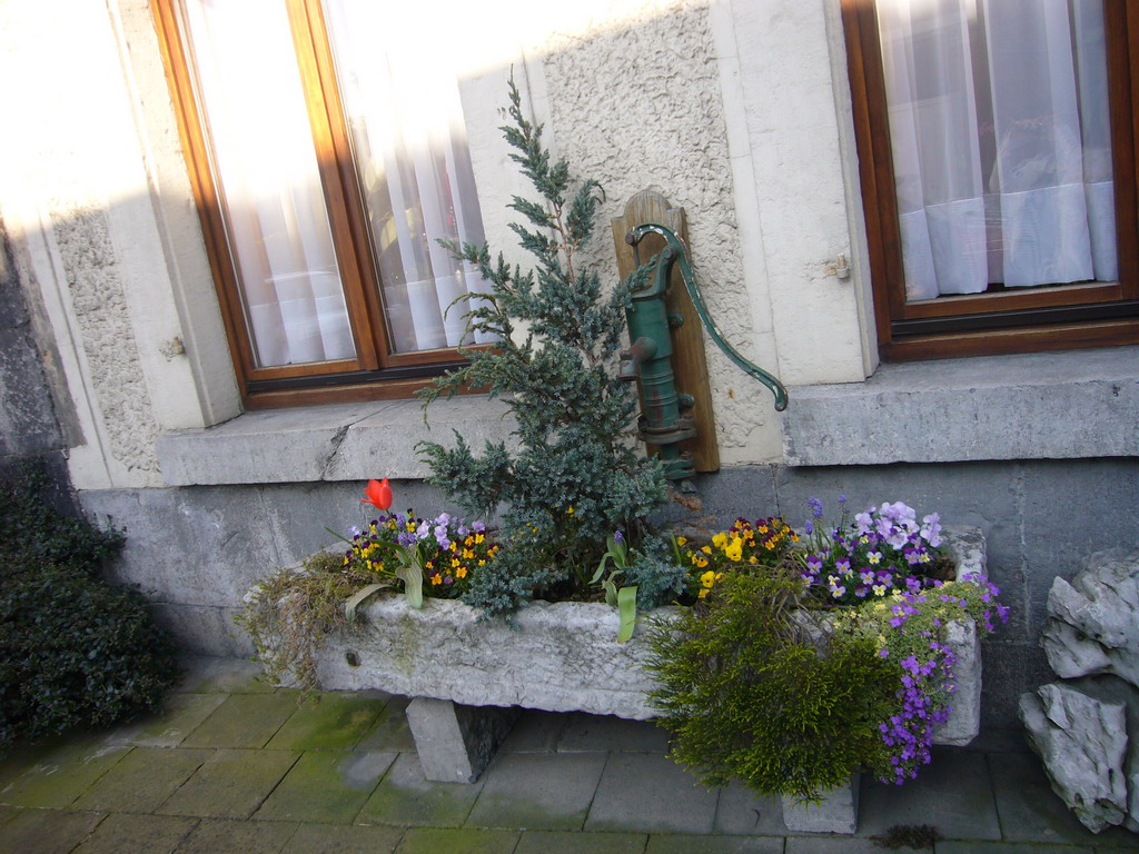 Water pump and flower bed in front of a house south of the city center