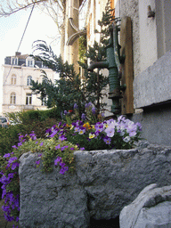 Water pump and flower bed in front of a house south of the city center