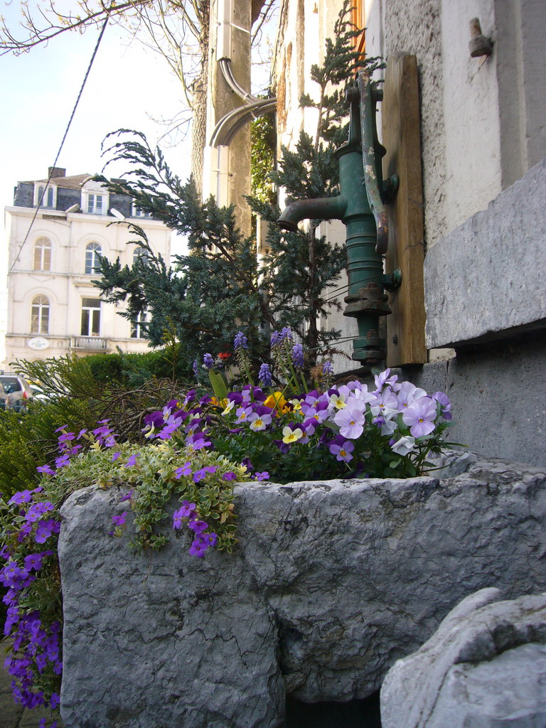 Water pump and flower bed in front of a house south of the city center