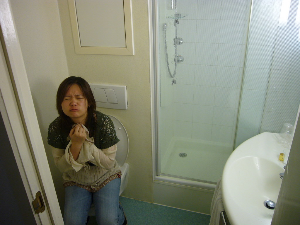 Miaomiao on the toilet of our room at the Hotel Ibis Dinant