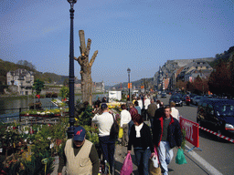 Plants at the flower market at the Avenue Winston Churchill