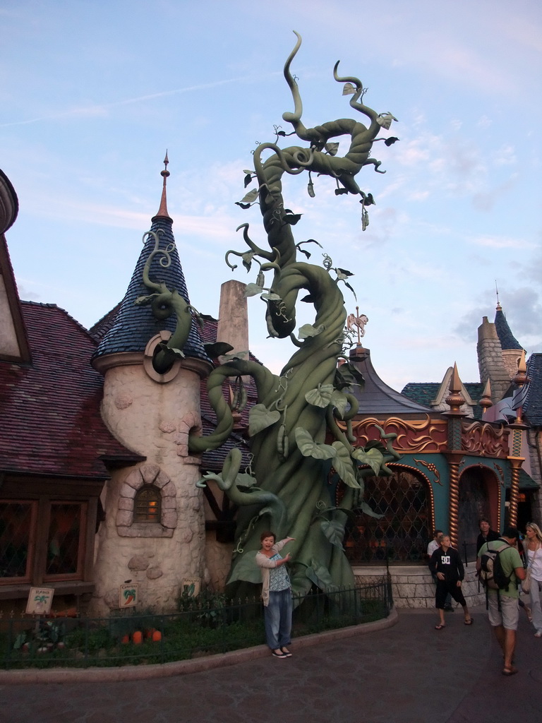 Miaomiao at the Beanstalk of Sir Mickey`s Boutique, at Fantasyland of Disneyland Park