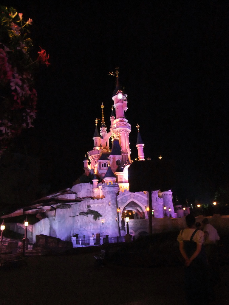 Sleeping Beauty`s Castle, at Fantasyland of Disneyland Park, by night