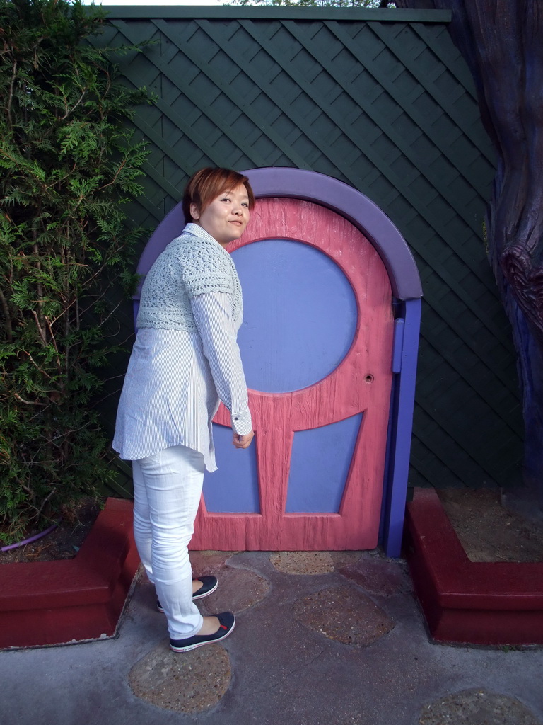Miaomiao with door at Alice`s Curious Labyrinth, at Fantasyland of Disneyland Park