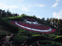 The Cheshire Cat in flowers, in Alice`s Curious Labyrinth, at Fantasyland of Disneyland Park
