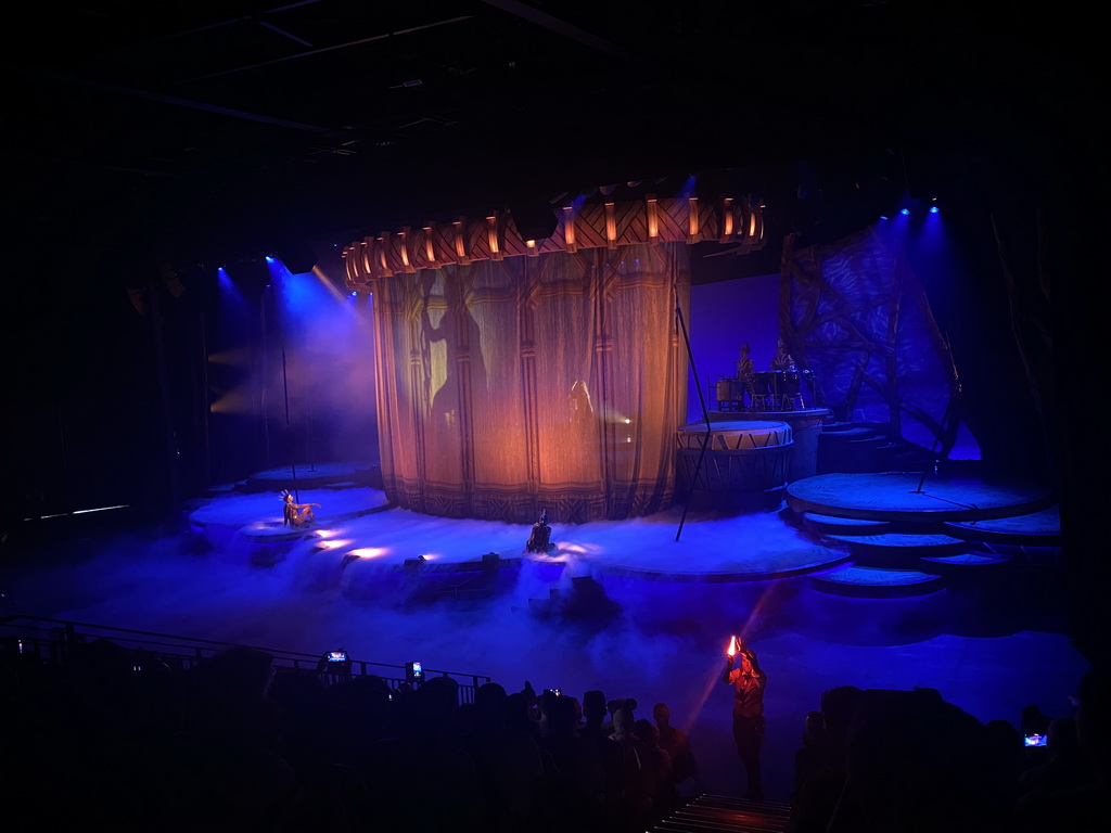 Actors, musicians and smoke on the stage of the Frontierland Theatre at Frontierland at Disneyland Park, during the Lion King: Rhythms of the Pride Lands show