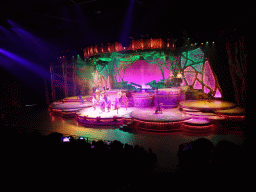 Actors and musicians on the stage of the Frontierland Theatre at Frontierland at Disneyland Park, during the Lion King: Rhythms of the Pride Lands show