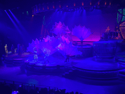 Actors and musicians on the stage of the Frontierland Theatre at Frontierland at Disneyland Park, during the Lion King: Rhythms of the Pride Lands show