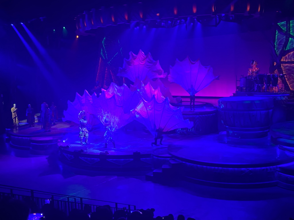 Actors and musicians on the stage of the Frontierland Theatre at Frontierland at Disneyland Park, during the Lion King: Rhythms of the Pride Lands show