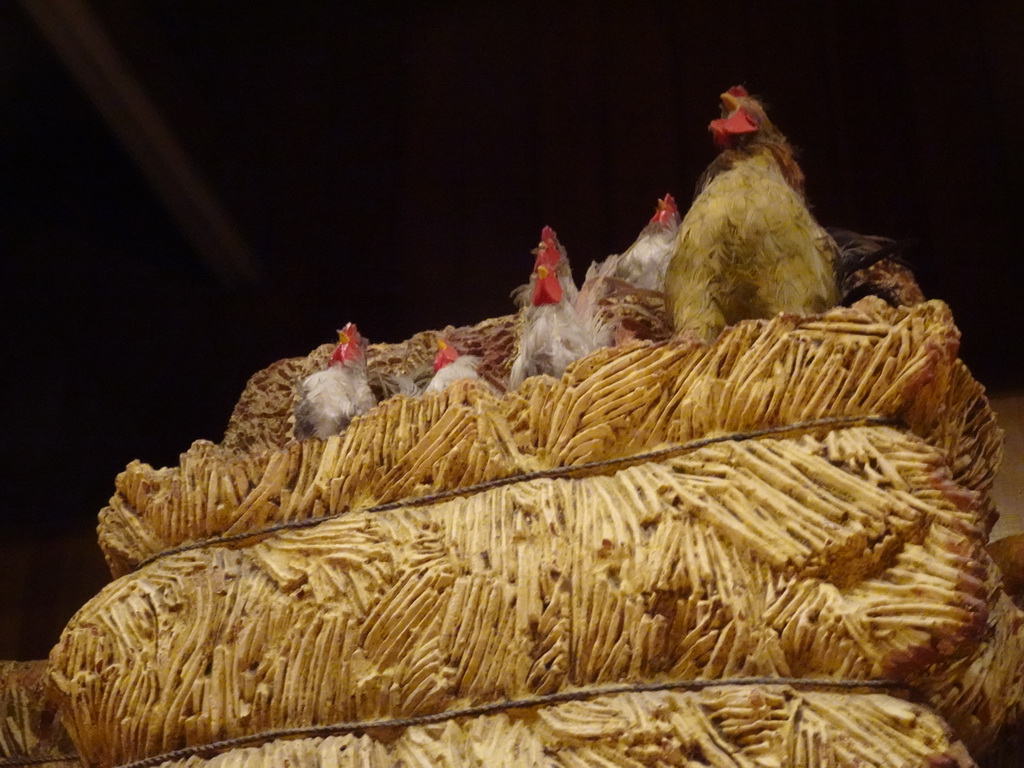 Chicken statues at the Chuck Wagon Café at Disney`s Hotel Cheyenne