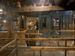 Queue at the Big Thunder Mountain attraction at Frontierland at Disneyland Park, by night