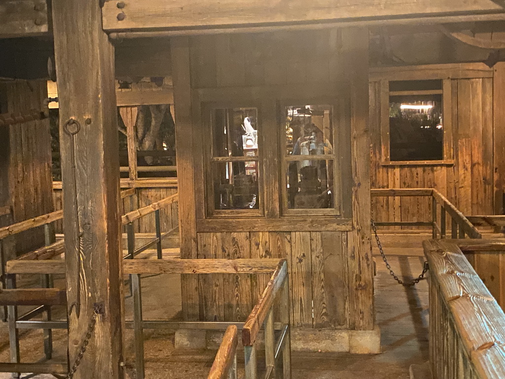 Queue at the Big Thunder Mountain attraction at Frontierland at Disneyland Park, by night