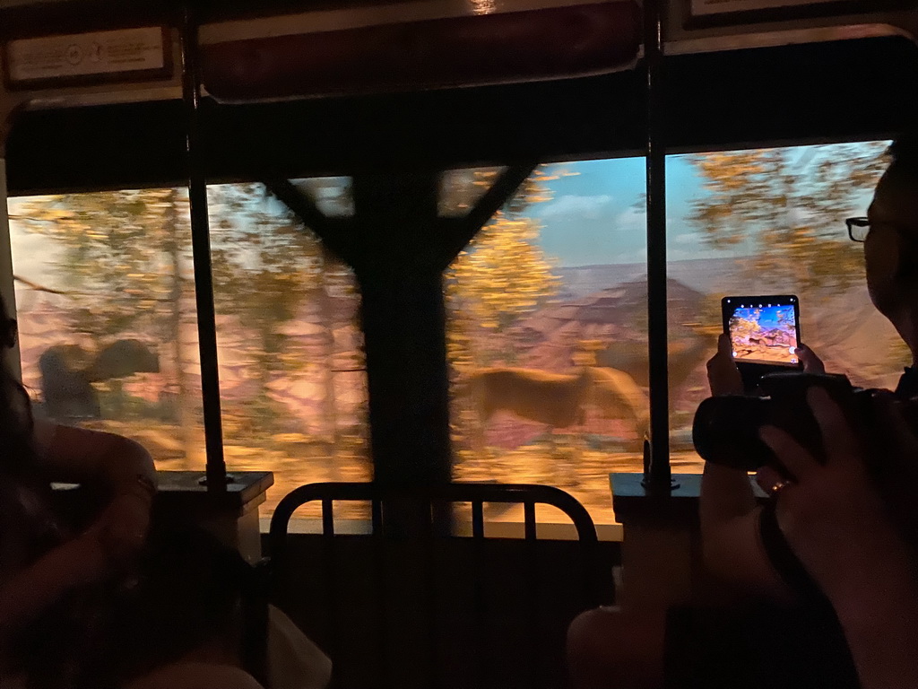 Image of wildlife at Frontierland at Disneyland Park, viewed from the train at the Disneyland Railroad attraction