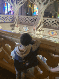 Max at the upper floor of Sleeping Beauty`s Castle at Fantasyland at Disneyland Park