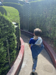 Max at the Alice`s Curious Labyrinth attraction at Fantasyland at Disneyland Park