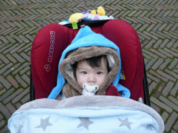 Max in his buggy at the Kosterstraat street