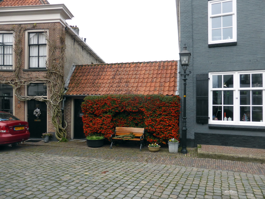 Bench surrounded by flowers at the Veerpoortstraat street