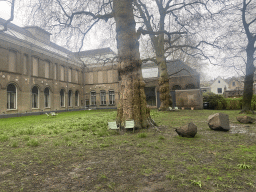 Garden of the Dordrechts Museum