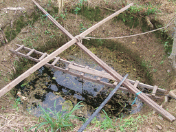 Well at the chicken farm