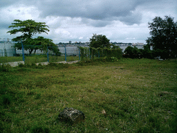 Grassland near our friend`s house