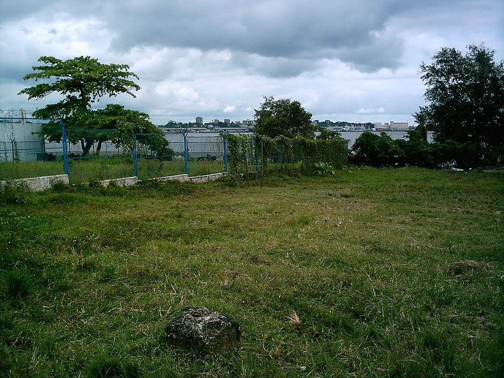 Grassland near our friend`s house