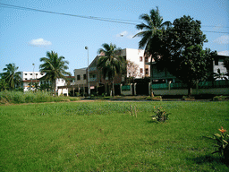 Grassland and buildings in the city center