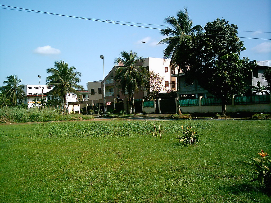Grassland and buildings in the city center