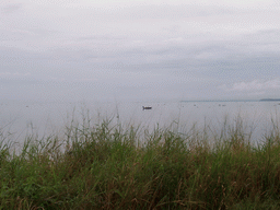 Boat and grass at the seaside