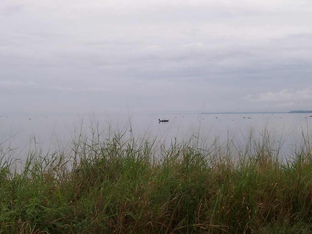 Boat and grass at the seaside