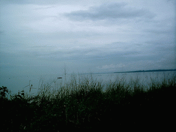 Boat and grass at the seaside