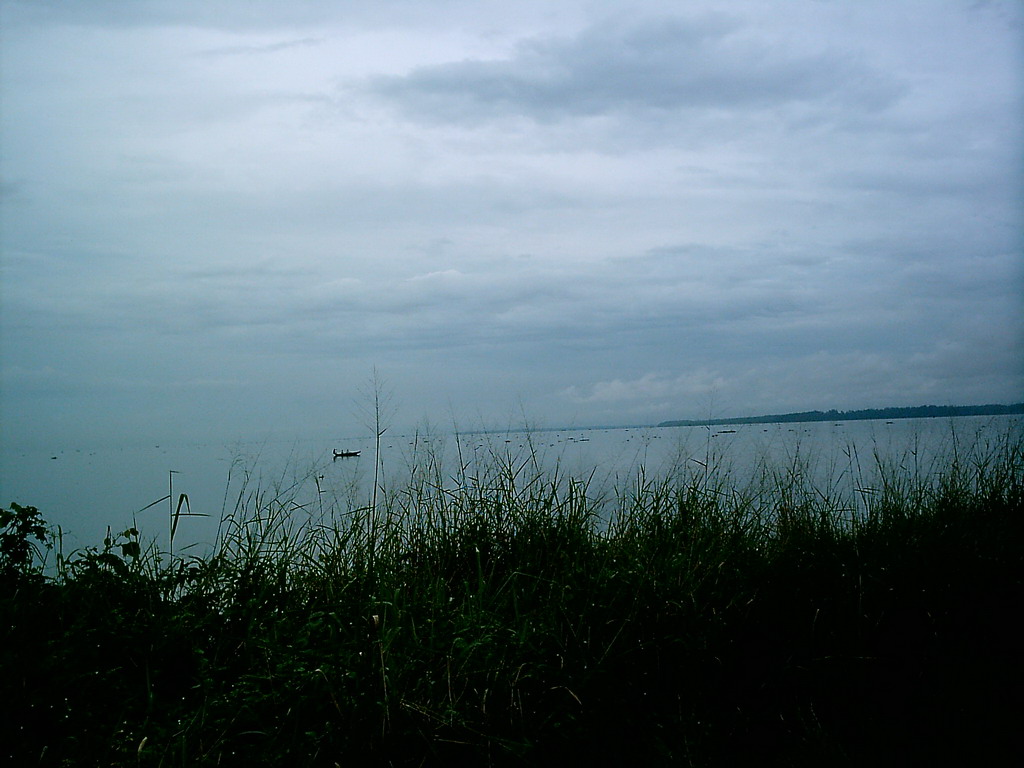 Boat and grass at the seaside