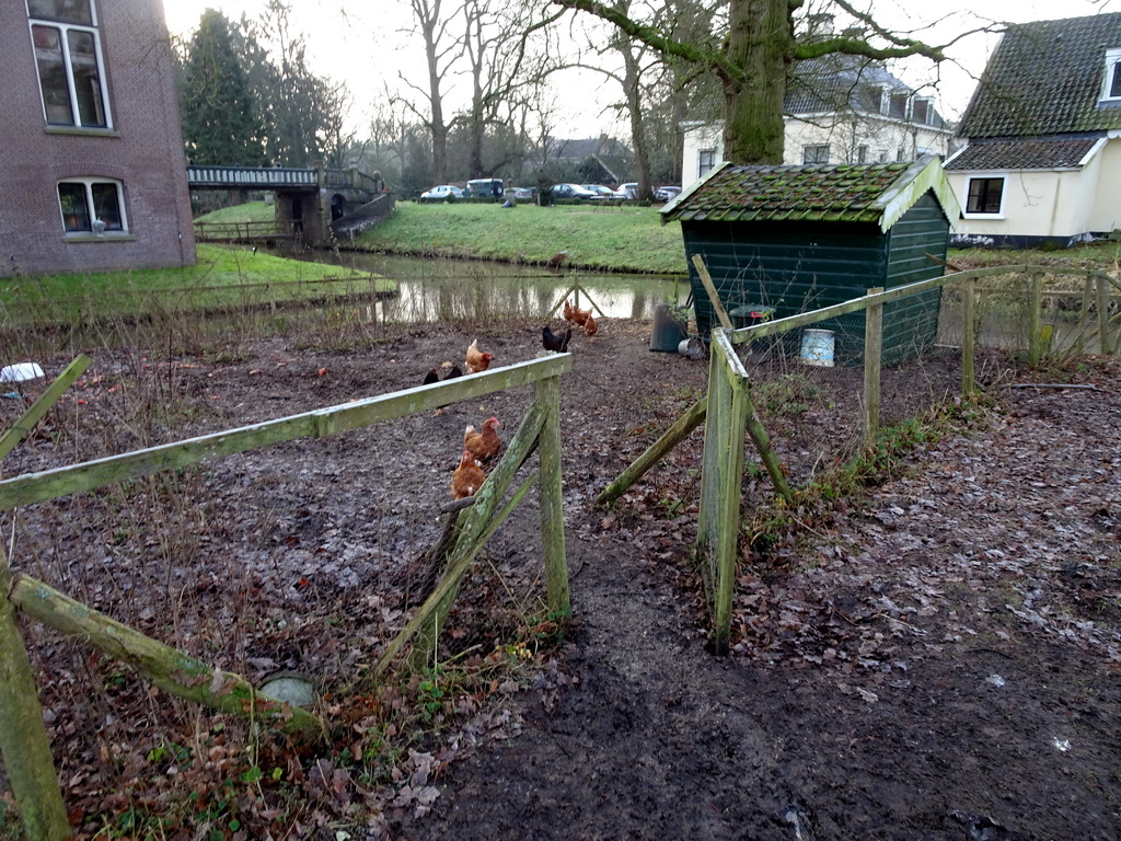 Chicken coop of Castle Sterkenburg