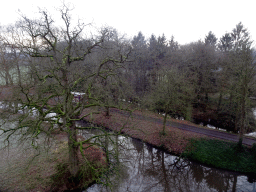 Castle moat and trees, viewed from the Uilenkamer room in the Tower of Castle Sterkenburg