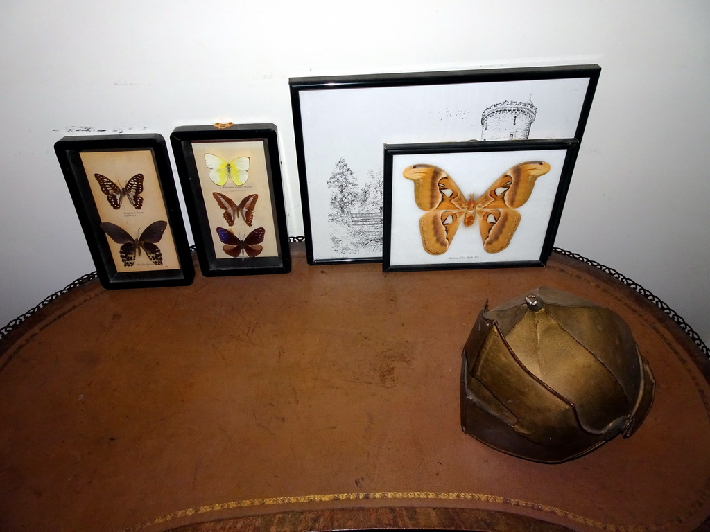 Butterflies and helmet in a hallway at the upper floor of Castle Sterkenburg