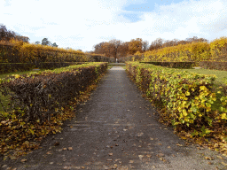 Southwest side of the Garden of Drottningholm Palace