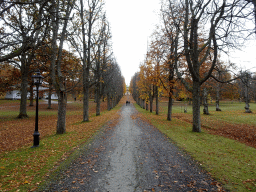 Path leading to the front of the Main Building at the Chinese Pavilion at the Garden of Drottningholm Palace